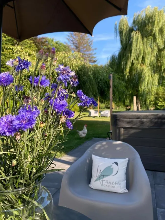 Bed&Breakfast 'Le Faucon' Valkenburg aan de Geul 0*,  Niederlande